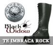 ARTMANIA Festival 2008, New Rock si Black Widow te imbraca rock!