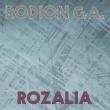 Ascultă „Rozalia”, noul album semnat Rodion G.A.