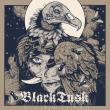 BLACK TUSK: EP-ul 'Vulture's Eye' disponibil online