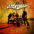Blacksheep a lansat videoclipul piesei 'A Story For You'