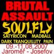 Brutal Assault 2007 - 3 zile - 2 scene - 70 de trupe