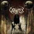 CARNIFEX: detalii despre albumul 'Until I Feel Nothing'