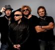 CHICKENFOOT: clip on-line