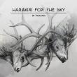 HARAKIRI FOR THE SKY: videoclipul piesei 'The Traces We Leave' disponibil online