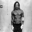 IGGY POP AND THE STOOGES: planuiesc un nou material