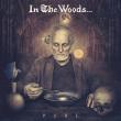 IN THE WOODS...: piesa 'Mystery of the Constellations' disponibilă online 