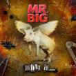 MR. BIG: detalii despre albumul 'What If…'
