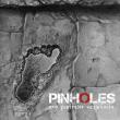 PINHOLES: videoclipul piesei 'Porcul Spinos' disponibil online