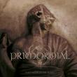 Primordial a lansat videoclipul piesei „Exile Amongst the Ruins”