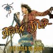 Steven Tyler (AEROSMITH): fragment din primul single solo (AUDIO)