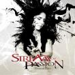 STREAM OF PASSION: videoclipul piesei 'Collide' disponibil online