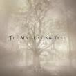 THE MAN EATING TREE: videoclip online
