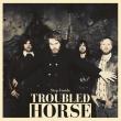 TROUBLED HORSE: videoclipul piesei 'Tainted Water' disponibil online
