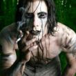 Wes Borland alaturi de Marilyn Manson