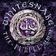 WHITESNAKE: videoclipul piesei 'The Gypsy' disponibil online