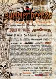 SUMMER BREEZE FEST - editia a 11-a: folk metal, death si metalcore... plus câteva delicatese