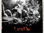 Lady Die