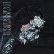 DEAFHEAVEN: piesa 'Brought to the Water' disponibila online