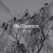 GALLHAMMER: detalii despre albumul 'The End'