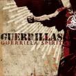 Guerrillas: Primul videoclip