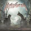 HOLY GRAIL: videoclipul piesei 'Ride the Void' disponibil online