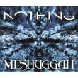 MESHUGGAH: remixeaza albumul Nothing