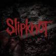SLIPKNOT: videoclipul piesei 'The Devil In I' disponibil online