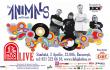 The Animals & Friends la Bucuresti: blues si rock ‘n’roll, intr-un concert extraodinar