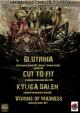 Blutrină, Cut to Fit, Kyliga Dälen şi Visions of Madness live în Fabirca – picnic, grindcore şi bătaie de joc